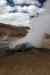 201006080998m.jpg - 2010:06:08 14:28:46