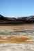 201006081028m.jpg - 2010:06:08 14:41:07