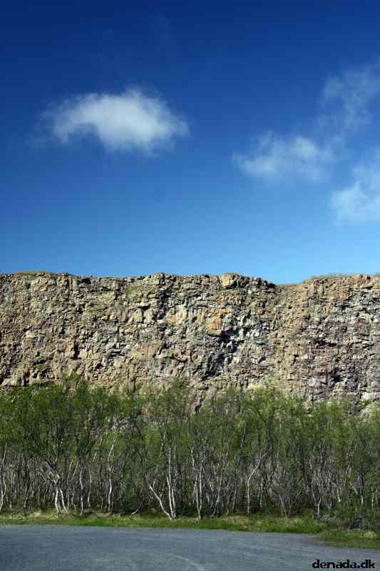 * Image 8