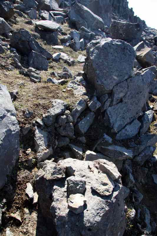 * Image 46