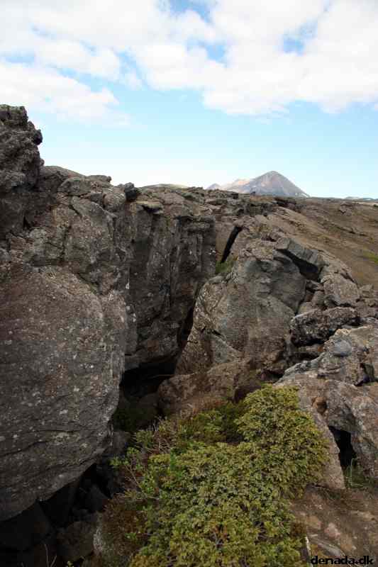 * Image 64