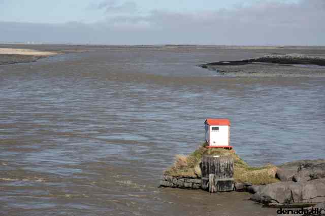 * Image 11