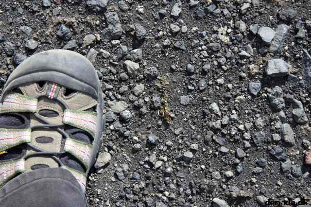 * Image 133