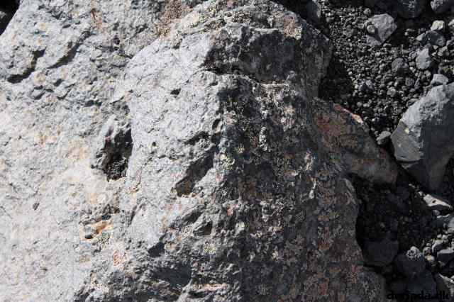 * Image 154