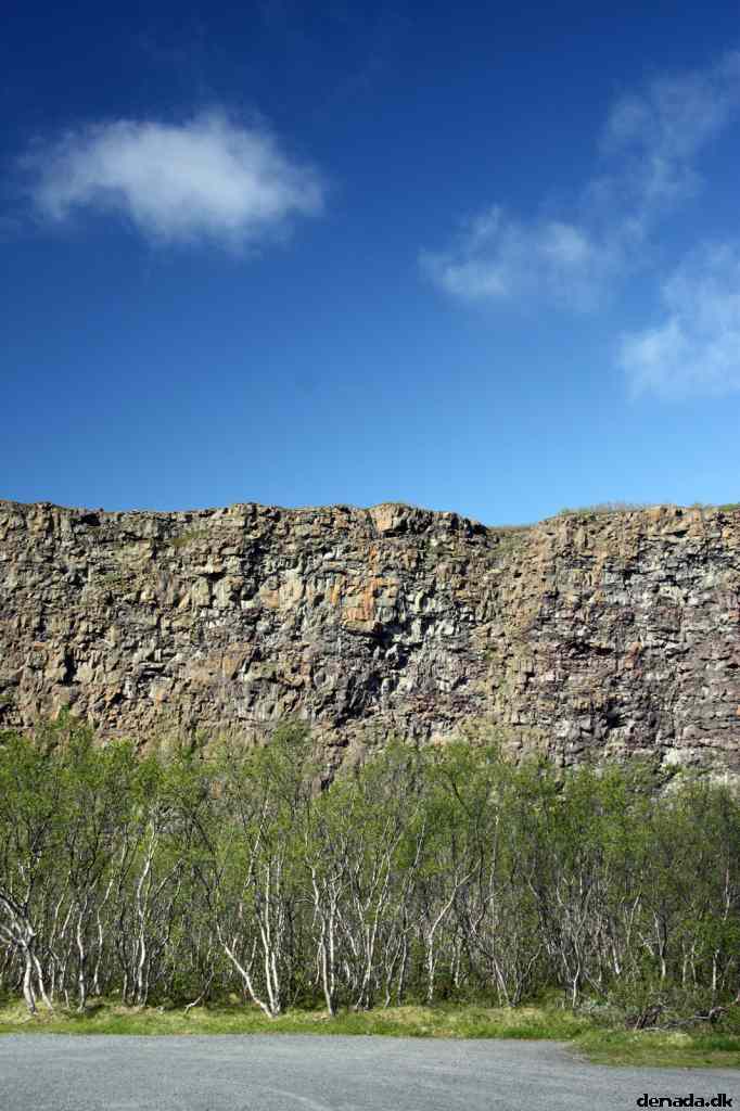 * Image 7