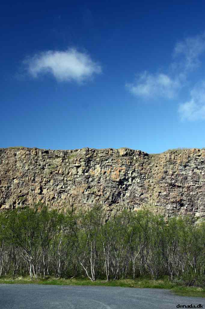 * Image 8