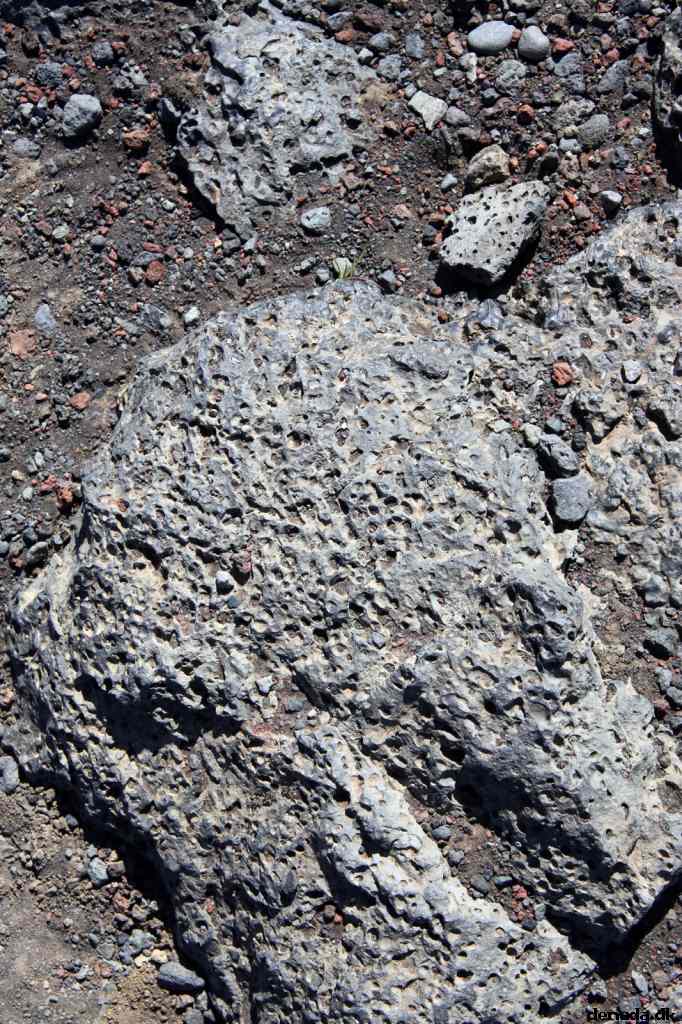 * Image 60