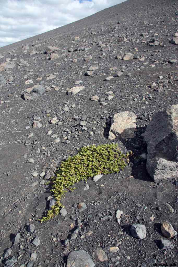 * Image 137