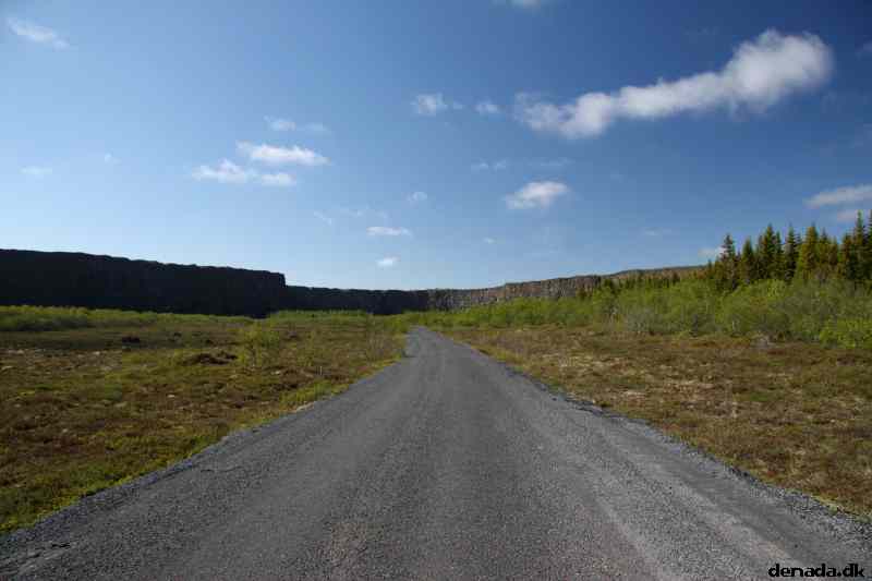 * Image 6
