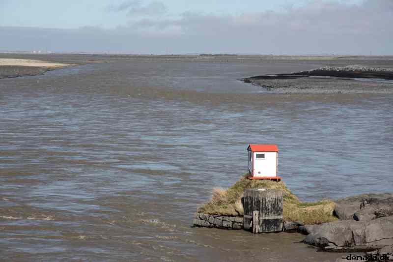 * Image 11