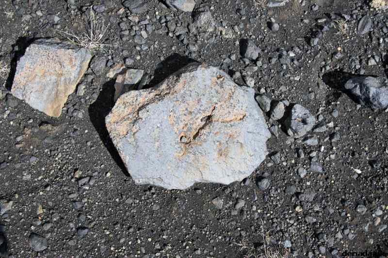 * Image 128