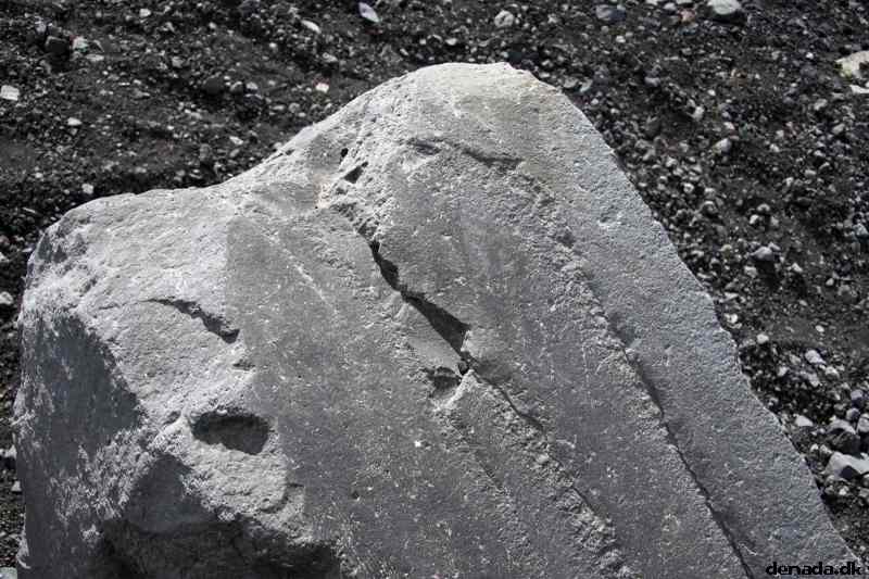 * Image 145