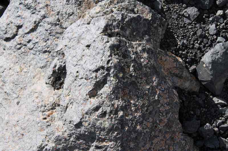 * Image 154