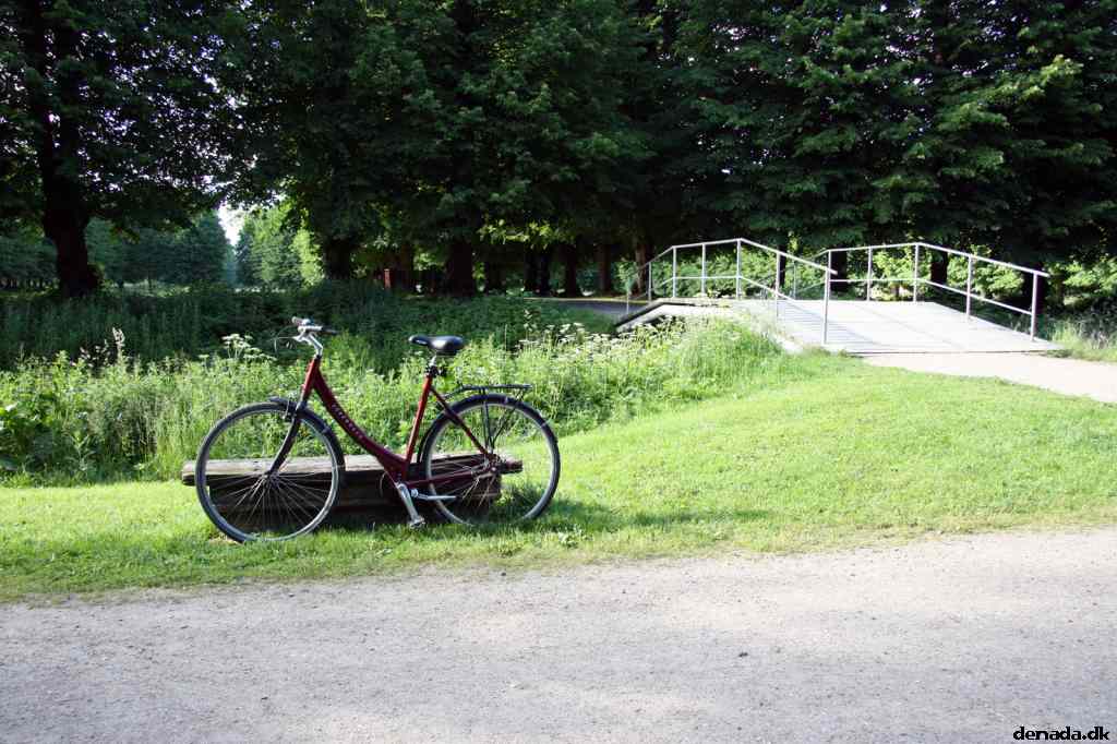 * Image 24