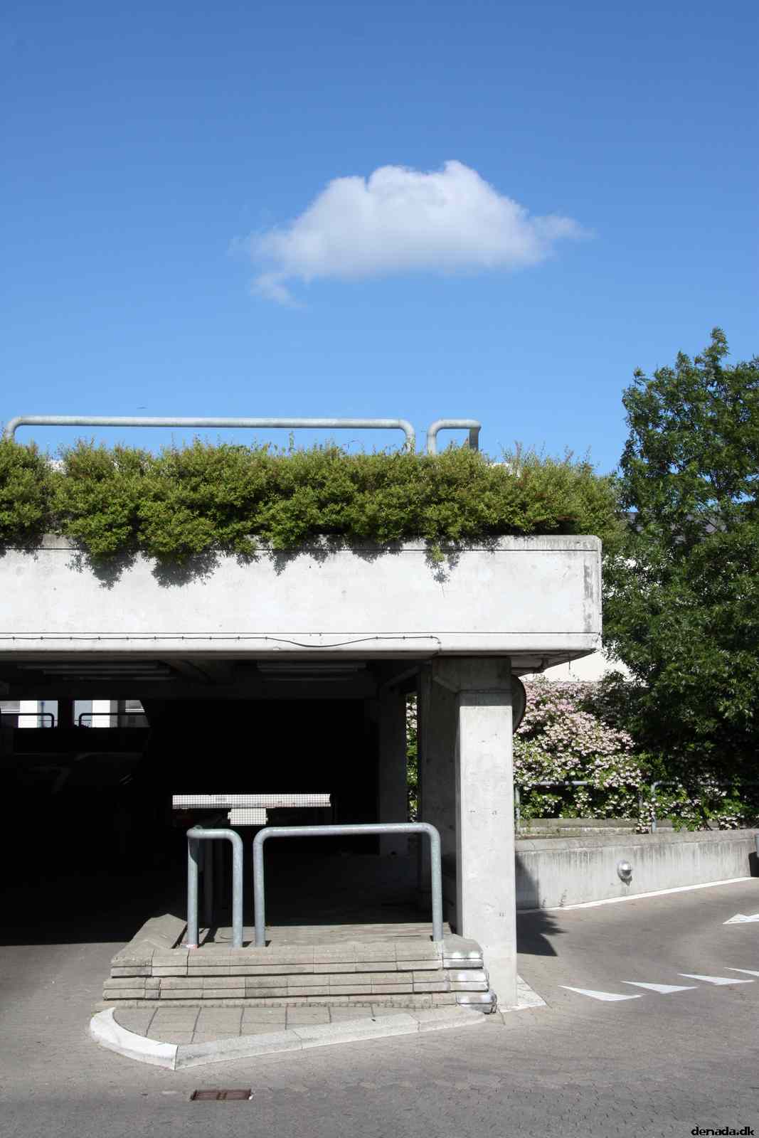 * Image 3