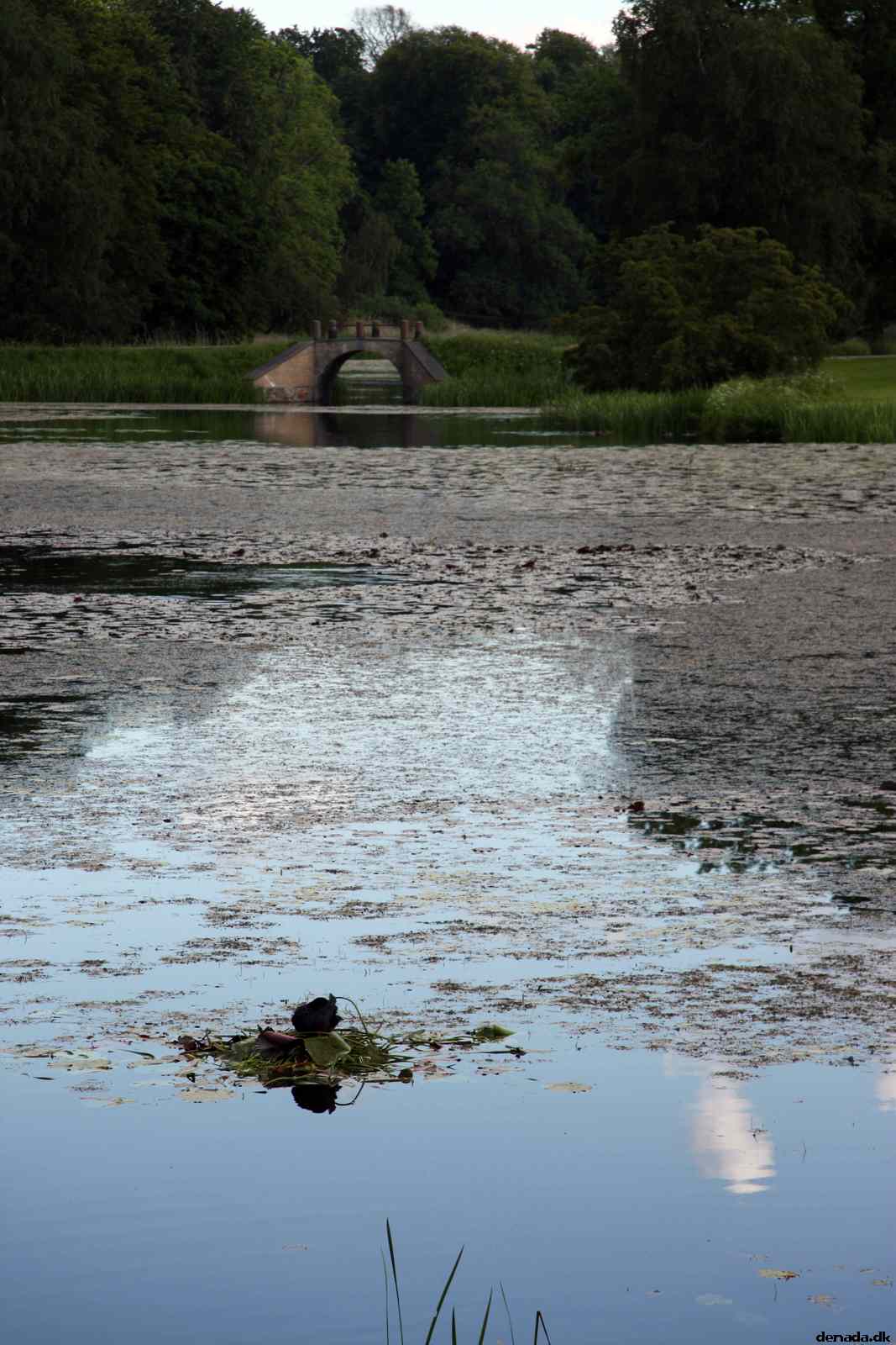 * Image 44