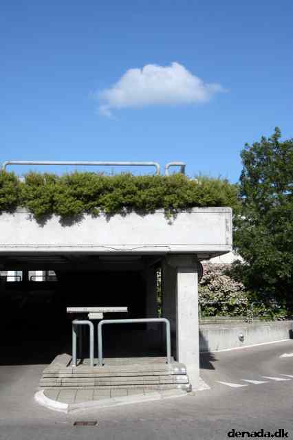 * Image 3
