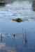 201006250049m.jpg - 2010:06:25 18:37:39