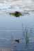 201006250050m.jpg - 2010:06:25 18:37:44