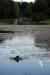 201006250055m.jpg - 2010:06:25 18:39:02