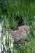 201006250058m.jpg - 2010:06:25 18:39:33