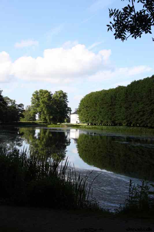 * Image 16