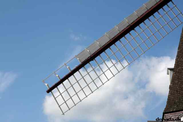 * Image 10
