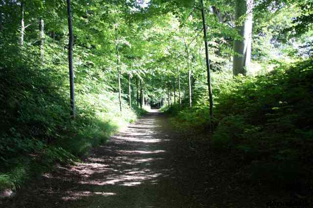 * Image 14