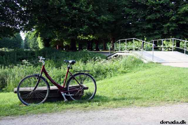 * Image 23