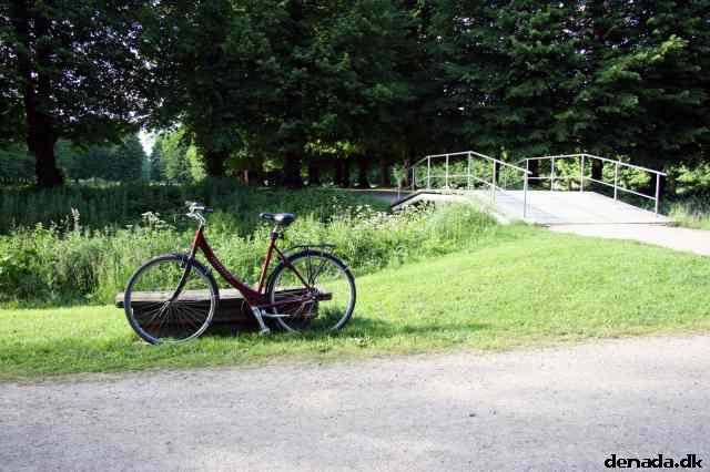 * Image 24