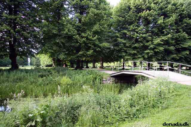 * Image 31