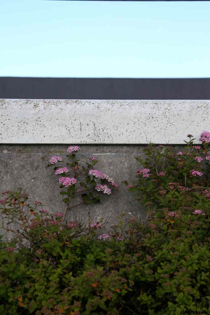 * Image 5