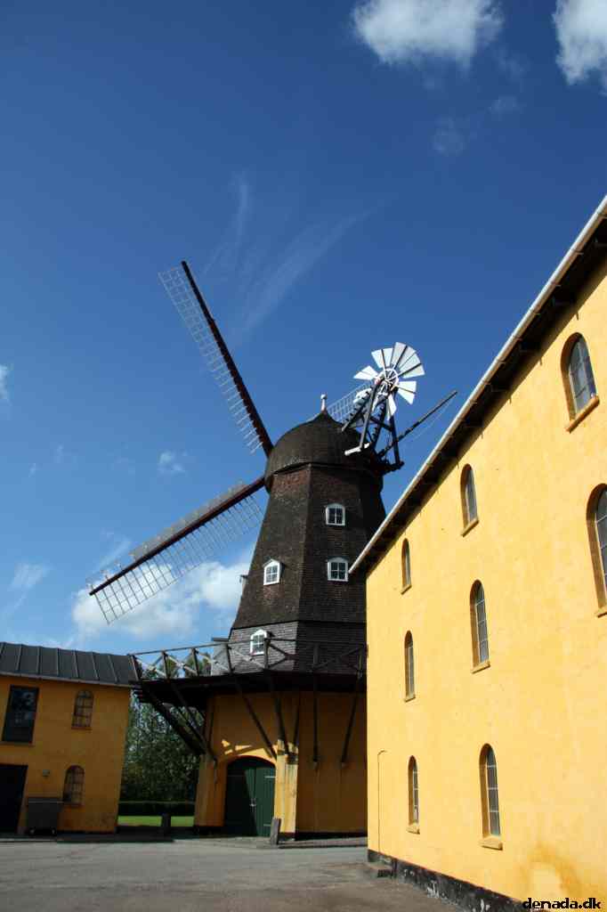 * Image 7