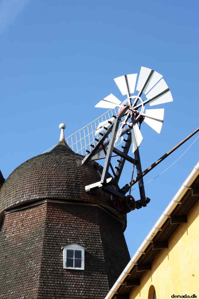 * Image 8