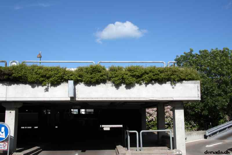 * Image 2