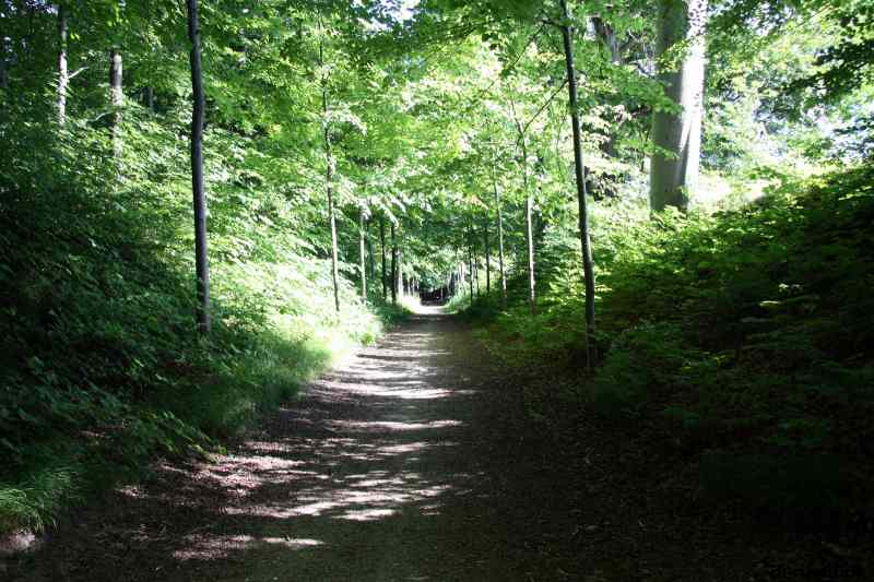 * Image 14