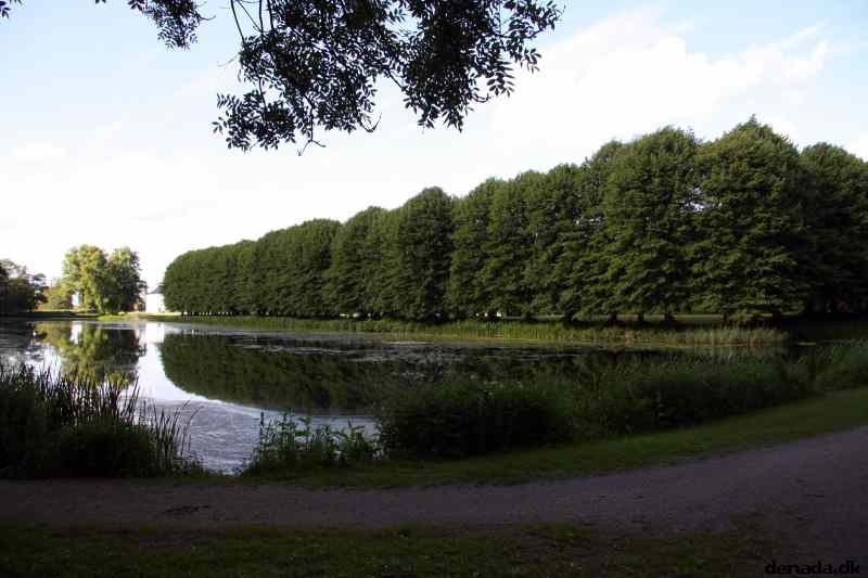 * Image 15