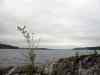 SANY2048m.jpg - 2010:08:15 10:24:54