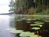 SANY2059m.jpg - 2010:08:16 10:06:48