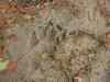 SANY2074m.jpg - 2010:08:16 12:11:43