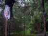 SANY2081m.jpg - 2010:08:17 07:25:18