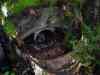 SANY2088m.jpg - 2010:08:17 10:19:24
