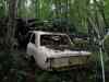 SANY2090m.jpg - 2010:08:17 10:20:46