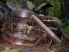 SANY2097m.jpg - 2010:08:17 10:24:11