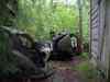 SANY2101m.jpg - 2010:08:17 10:25:18