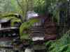 SANY2104m.jpg - 2010:08:17 10:27:29