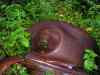 SANY2105m.jpg - 2010:08:17 10:27:56