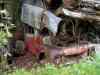 SANY2109m.jpg - 2010:08:17 11:02:12