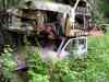 SANY2116m.jpg - 2010:08:17 11:06:07