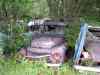 SANY2118m.jpg - 2010:08:17 11:08:08